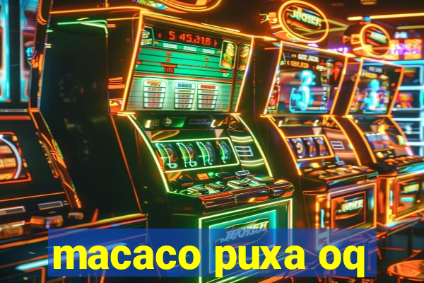 macaco puxa oq